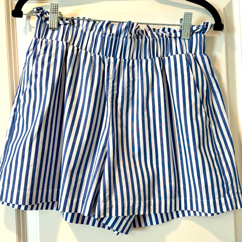 Striped Express Shorts